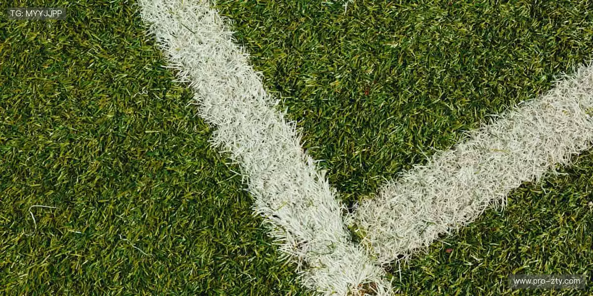 📱手机、平板、电脑无缝切换，精彩从不掉线！📡